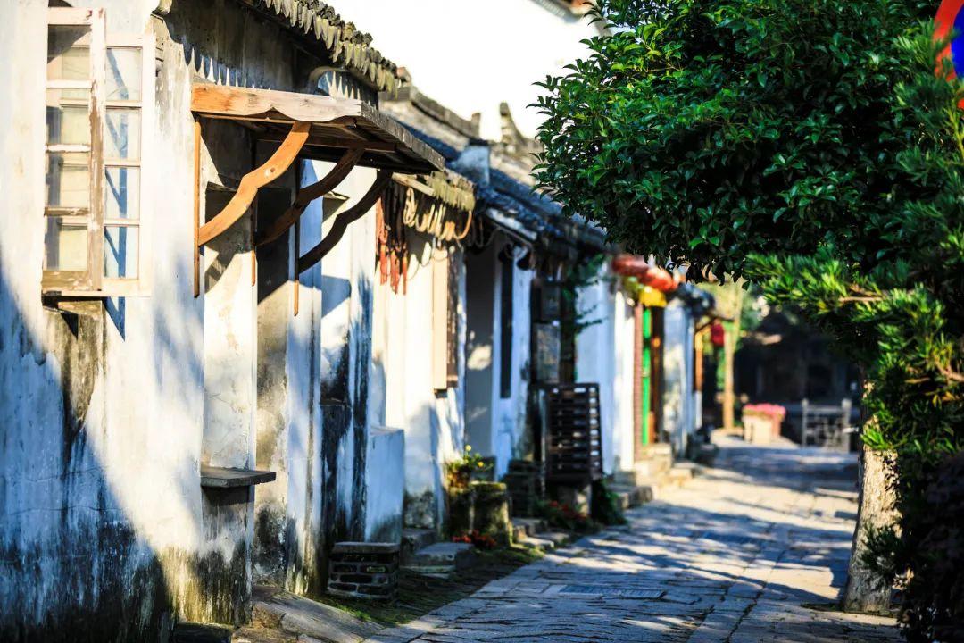 逃离神秘老林